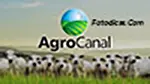 Agro-Canal.webp
